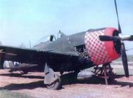 Asisbiz USAAF Republic P 47D Thunderbolt 9AF 48FG493FS 01