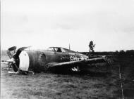 Asisbiz USAAF Republic P 47D Thunderbolt 9AF 48FG494FS 6M Evelyn belly landed 01