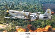 Asisbiz 44 72505 F 6D Mustang 5AF 71TRG82TRS 66 Flying Undertaker Maj William A Shomo Lingayen Luzon PI May 1945 0A