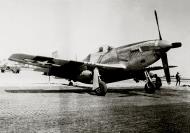 Asisbiz F 6D Mustang 5AF 71TRG82TRS Philippines 1945 05