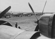 Asisbiz P 51D Mustang 7AF 15FG45FS lined up at Iwo Jima Mar 1945 01