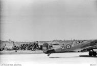 Asisbiz Spitfire VbTrop RAF 242Sqn LEJ ER163 support the Allied invasion of Sicily at Malta Jul 1943 AWM MEC2031