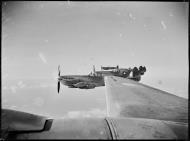 Asisbiz Spitfire HFVIII RAAF 6AD Ferry A58 625 MV149 based at Morotai 28th July 1945 02