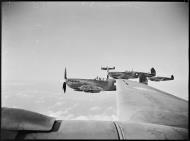 Asisbiz Spitfire HFVIII RAAF 6AD Ferry A58 625 MV149 based at Morotai 28th July 1945 04