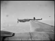 Asisbiz Spitfire HFVIII RAAF 6AD Ferry A58 643 MV466 based at Morotai 28th July 1945 04