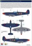 Asisbiz Spitfire MkIX RAF 249Sqn TZ FO Irving F Kennedy EN500 Qrendi Malta Jul 1943 by Eduard 0B