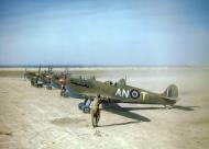 Asisbiz Spitfire MkVbTrop RCAF 417Sqn ANT BR195 at Goubrine Tunisia Apr 1943 IWM TR823