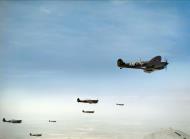 Asisbiz Spitfire MkVbTrop RCAF 417Sqn ANV ANW over Tunisia Apr 1943 IWM TR8286