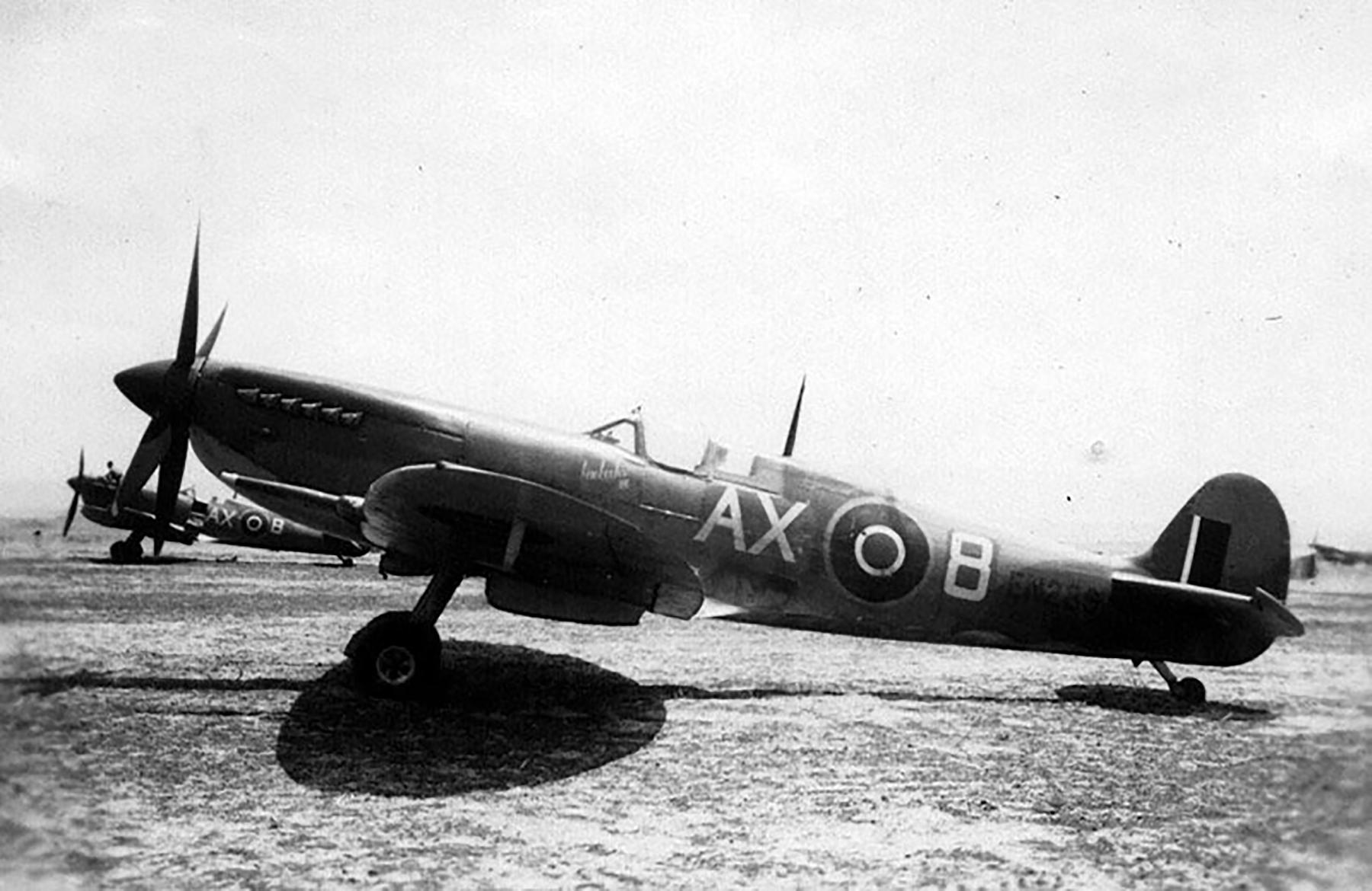 Asisbiz Spitfire MkIX SAAF 1Sqn AX8 Robbie Robinson EN286 Luqa Malta ...