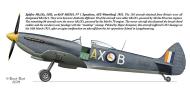 Asisbiz Spitfire HFIXe SAAF 1Sqn AXB 5503 ex MH534 Waterkloof 1951 0A