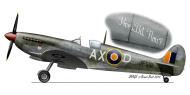 Asisbiz Spitfire HFVIII SAAF 1Sqn AXD JF519 Trigno Italy Feb 1944 0A