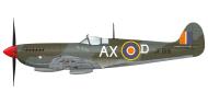 Asisbiz Spitfire HFVIII SAAF 1Sqn AXD JF519 Trigno Italy Feb 1944 0B