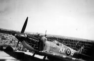 Asisbiz Spitfire MkIX SAAF 1Sqn AX8 Robbie Robinson EN286 Luqa Malta Jun 1943 02