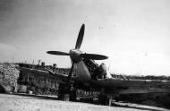 Asisbiz Spitfire MkIX SAAF 1Sqn AX8 Robbie Robinson EN286 Luqa Malta Jun 1943 03