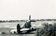 Asisbiz Spitfire MkIX SAAF 1Sqn AX9 Italy 1943 01