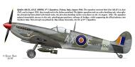 Asisbiz Spitfire MkIX SAAF 1Sqn AXE MH904 Foiana Italy Aug 1944 0A