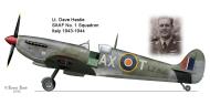 Asisbiz Spitfire MkIX SAAF 1Sqn AXT LZ896 Italy 1943 0A