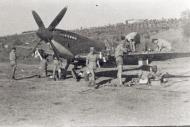 Asisbiz Spitfire MkIX SAAF 1Sqn AXZ Italy 1943 01