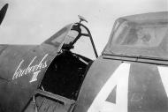 Asisbiz Spitfire MkVbTrop SAAF 1Sqn AXN ER214 Tunisia 1943 03