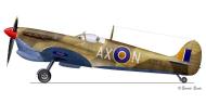 Asisbiz Spitfire MkVcTrop SAAF 1Sqn AXN JG959 Tunisia 1943 0A