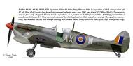 Asisbiz Spitfire MkVcTrop SAAF 1Sqn AXW JL1132 Gioia del Colle Italy Sep 1943 0A