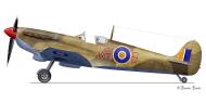 Asisbiz Spitfire LFVb SAAF 40Sqn WRB Aboukir filter F24 camera EP826 Sicily 1943 0A