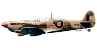 Asisbiz Spitfire LFVb SAAF 40Sqn WRR Aboukir filter F24 camera EP688 Sicily 1943 0A