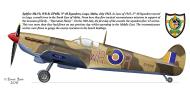 Asisbiz Spitfire LFVb SAAF 40Sqn WRR Aboukir filter F24 camera EP688 Sicily 1943 0B