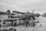 Asisbiz Spitfire MkVIII RAF 136Sqn HMU at Cocos Islands IWM CF687