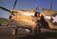 Asisbiz Spitfire HFVIII USAAF 12AF 31FG308FS HLMM Bill Skinner Pomigliano Naples Italy 1944 02