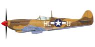 Asisbiz Spitfire HFVIII USAAF 12AF 31FG308FS HLU Castel Volturno Italy 1944 0A