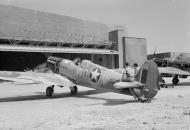 Asisbiz Spitfire MkVc USAAF 12AF 52FG4FS 336Sqn WDV JG873 at Maison Blanche Algeria IWM CNA2254