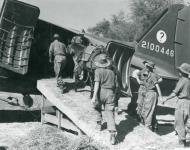 Asisbiz 42 100446 Douglas C 47A Skytrain 1ATC loading a mule for Myitkyina at Hailakandi India 6th Mar 1944 NA526