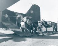 Asisbiz 43 16190 Douglas C 47B Dakota 1ACG319TCS 14th Chinese Division Operation Grubworm Burma Dec 1944 NA596