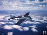 Asisbiz Grumman F4F 3 Wildcat showing the 3 tone paint scheme color photo by Time Life 05