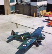 Asisbiz Fleet Air Arm Martlet MkI White NXG2 with fresh paint scheme 01