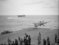 Asisbiz Fleet Air Arm Martlet MkII EW catapulted from HMS Fencer with HMS Trumpeter background Oct 1944 IWM A26134