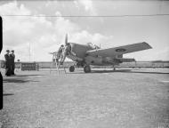 Asisbiz Fleet Air Arm Martlet on the ground at Lee on Solent Fleet Air Arm Station Hampshire HMS Daedalus IWM A19271