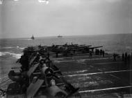 Asisbiz Fleet Air Arm Martlets aboard HMS Pursuer off Norway Apr 1944 IWM A23057