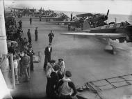 Asisbiz Fleet Air Arm Martlets aboard HMS Victorious off French North Africa 1 9th Nov 1942 IWM A12950