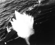 Asisbiz German Kriegsmarine submarine U 185 under attack VC13 aircraft USS Core Aug 24 1943