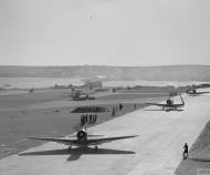 Asisbiz USN Douglas TBD Devastator torpedo bombers at RNAS Hatson Apr 1942 IWM A9441