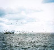 Asisbiz Japanese G4M Betty flies through flak bursts just aft of USS Belleau Wood (CVL 24) off the Marianas 23rd Feb 1944 80 G 218423