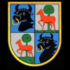KG1 Emblem